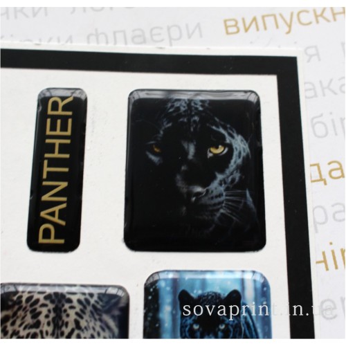 Стікерпак з об'ємними наліпками "Midnight Panther"